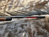 FREE SAFARI, NEW WINCHESTER MODEL 70 SUPER GRADE 243 Win 22