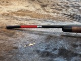 FREE SAFARI, NEW WINCHESTER MODEL 70 SUPER GRADE 243 Win 22