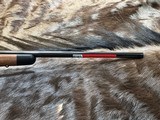 FREE SAFARI, NEW WINCHESTER MODEL 70 SUPER GRADE 243 Win 22