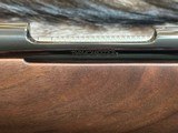 FREE SAFARI, NEW WINCHESTER MODEL 70 SUPER GRADE 243 Win 22
