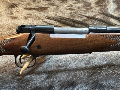 FREE SAFARI, NEW WINCHESTER MODEL 70 ALASKAN 338 WIN MAG 25