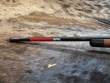 FREE SAFARI, NEW WINCHESTER MODEL 70 SUPER GRADE 243 Win 22