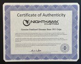 NIGHTHAWK CUSTOM SINGLE STACK SAND HAWK GOV'T 1911 9mm w/ IOS, DINOSAUR BONE GRIPS - LAYAWAY AVAILABLE - 4 of 25