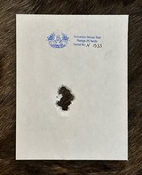 NEW FREEDOM ARMS MODEL 97 PREMIER GRADE 357 MAGNUM W/ 9MM CYLINDER, MANY UPGRADES, FREE SAFARI - LAYAWAY AVAILABLE - 2 of 25