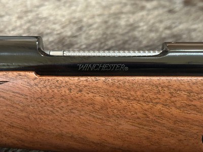 NEW WINCHESTER MODEL 70 SUPER GRADE 243 Win 22