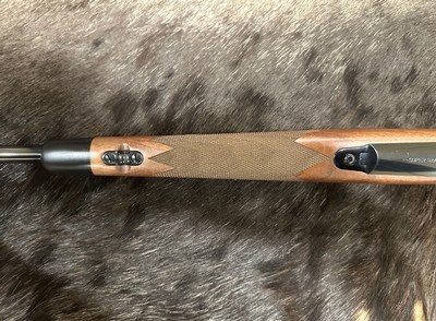 NEW WINCHESTER MODEL 70 SUPER GRADE 243 Win 22
