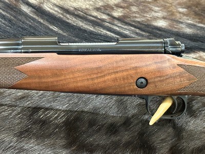 NEW WINCHESTER MODEL 70 SUPER GRADE 243 Win 22
