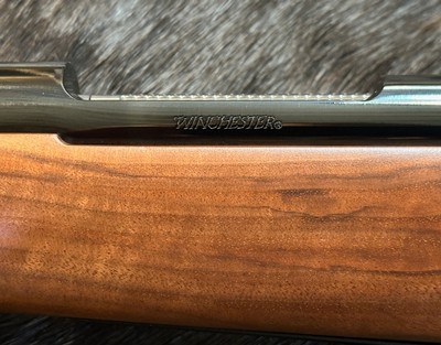 NEW WINCHESTER MODEL 70 SUPER GRADE 264 WIN MAG 26