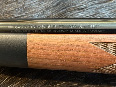 NEW WINCHESTER MODEL 70 SUPER GRADE 308 WIN 22