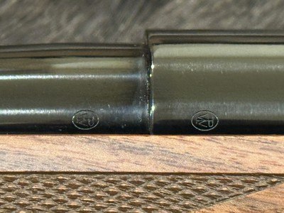 NEW WINCHESTER MODEL 70 SUPER GRADE 300 WSM 24