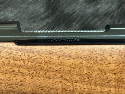 NEW WINCHESTER MODEL 70 FEATHERWEIGHT 25-06 REMINGTON 22