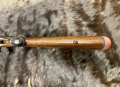 NEW RUGER M77 HAWKEYE AFRICAN 375 RUGER 23