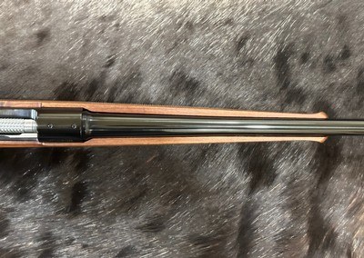 NEW WINCHESTER MODEL 70 FEATHERWEIGHT 25-06 REMINGTON 22