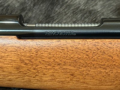 NEW WINCHESTER MODEL 70 FEATHERWEIGHT COMPACT 22-250 REMINGTON 20