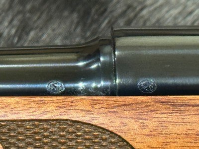 NEW WINCHESTER MODEL 70 FEATHERWEIGHT COMPACT 22-250 REMINGTON 20