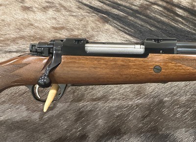 NEW RUGER M77 HAWKEYE AFRICAN 270 WINCHESTER LIMITED EDITION, FREE SAFARI 57166 - LAYAWAY AVAILABLE - Image 4 of 24