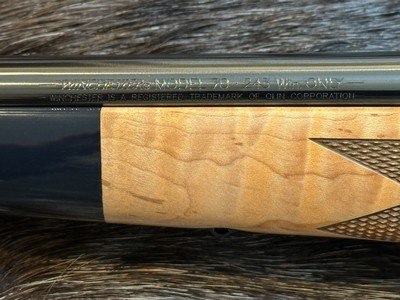 NEW WINCHESTER MODEL 70 SUPER GRADE MAPLE 243 WIN 22