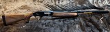 NEW BROWNING MAXUS II BLACK GOLD 3