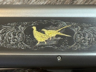 NEW BROWNING MAXUS II BLACK GOLD 3