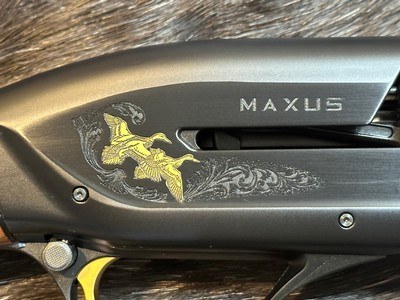 NEW BROWNING MAXUS II BLACK GOLD 3