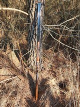 Dickinson Estate 410 - 7 of 15