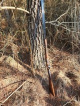 Dickinson Estate 410 - 8 of 15