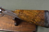 Joseph Lang 12 Bore Pigeon Hammer Gun with 32” Nitro Steel Barrels – 2-3/4” - 7 of 13