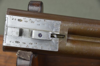 J. Blanch & Son 12 Bore Back Action Thumblever Hammergun with 29” Nitro Damascus Barrels - Image 13 of 13