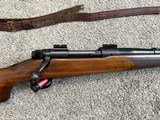 Winchester model 70 Pre 64 243 win ultra rare exc cond. - 7 of 14