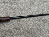 Browning a bolt medallion 204 Ruger rare engraved 24” brl enhanced - 14 of 15