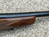 Browning a bolt medallion 204 Ruger rare engraved 24” brl enhanced - 4 of 15