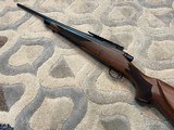 REMINGTON MODEL SEVEN MODEL 7 RIFLE 204 RUGER IN LIKE NEW CONDITION WHAT A BEAUTY!! - 11 of 15