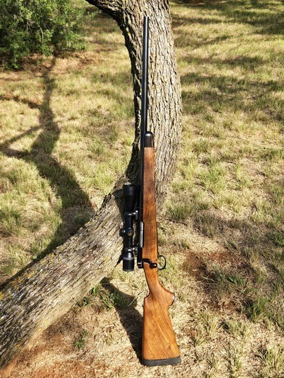 1999 Montana in .330 Dakota in Beautiful English Walnut Stock w/Dies and Brass