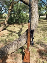 1999 Montana in .330 Dakota in Beautiful English Walnut Stock w/Dies and Brass - 2 of 6