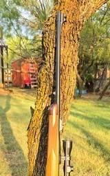 American Hunting Rifles CZ 550 by Wayne Jacobson in 338-06 Exquisite Walnut Stock in Beautiful Condition - 3 of 8