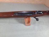 Winchester Model 70 Pre 64 Varmint 243 - 4 of 6