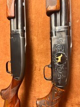 Pair of consecutive Winchester model 12 engraved as shown in the bookof Winchester engraving by R.L. Wilson REDUCED - 8 of 15