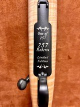 Remington model 7 22