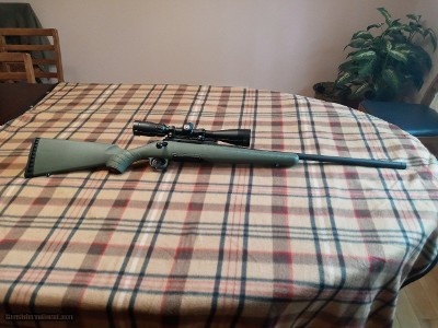 Ruger,boltaction,6.5cr American