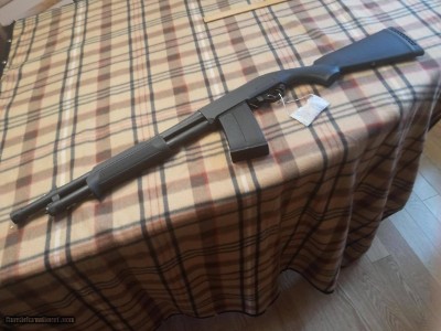 CIVET 12 GA SDS IMPORTS