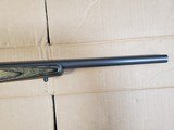 Ruger 77/17 17 Mach2 - 8 of 14
