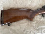 Winchester Model 70 Pre 64 in 264 Win Magnum - Excellent Condition - 2 of 12