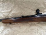 Winchester Model 70 Pre 64 in 264 Win Magnum - Excellent Condition - 6 of 12