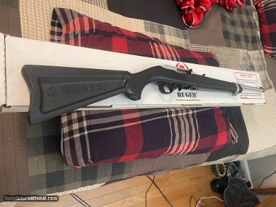 Extremely Rare Ruger 10/22 Carbine Zytel Skeleton Boat Paddle NOS in Box