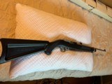 Extremely Rare Ruger 10/22 Carbine Zytel Skeleton Boat Paddle Excellent Condition - 1 of 13