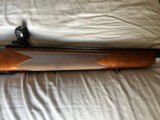 Winchester Model 70 XTR Sporter in tough 25.06 Rem Cal 24" Barrel - Excellent Condition - 4 of 15