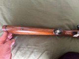 Rare Discontinued Ruger M77 Mannlicher International 22-250 Rem 18.5