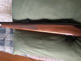 Rare Remington 700 in 6mm Rem 22" Barrel - Pristine - 14 of 19