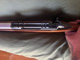 Gorgeous Custom Winchester Model 70 XTR 243 24" LRI SS Threaded Bull Barrel - Excellent Condition - 13 of 19
