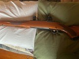 Rare Ruger M77 Mark II 25.06 Rem 24" Bull Barrel - Excellent Condition - 12 of 17